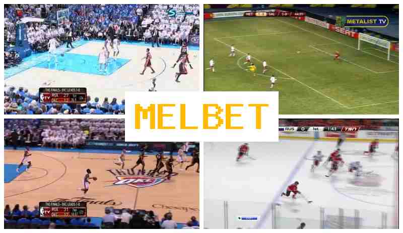 NELBET 🔶 Bookmaker Platform NELBET 🔶 Bookmaker Platform