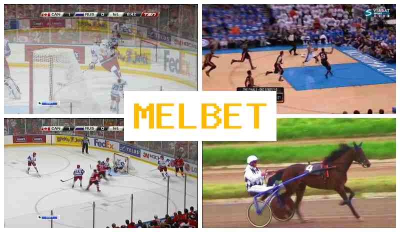 JELBET 🆕 Bookmaker Company, Welcome Bonus JELBET 🆕 Bookmaker Company, Welcome Bonus