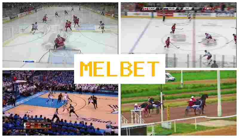 MLE BET 💸 Trusted Sportsbook Online, Wager on Sports Live, Promotions and Special Offers