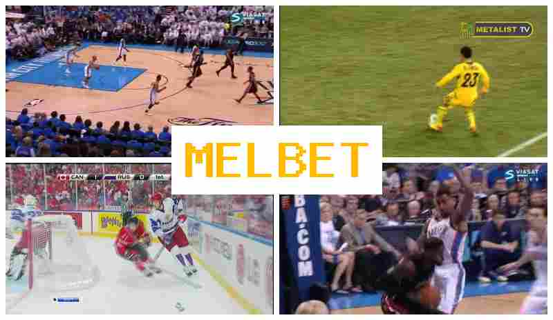 NEL BET 🏆 Online Betting Platform, Sign Up, Login, Sports Betting NEL BET 🏆 Online Betting Platform, Sign Up, Login, Sports Betting