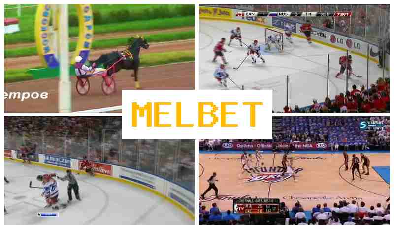 MSL BET ⚽ Sports Betting, Initial Deposit Reward, Official Website MSL BET ⚽ Sports Betting, Initial Deposit Reward, Official Website