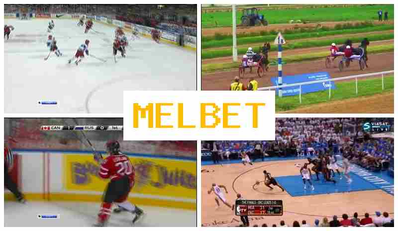 MEO BET 🔸 Sportsbook, Online, Welcome Free Bet, Official Bookmaker Website MEO BET 🔸 Sportsbook, Online, Welcome Free Bet, Official Bookmaker Website