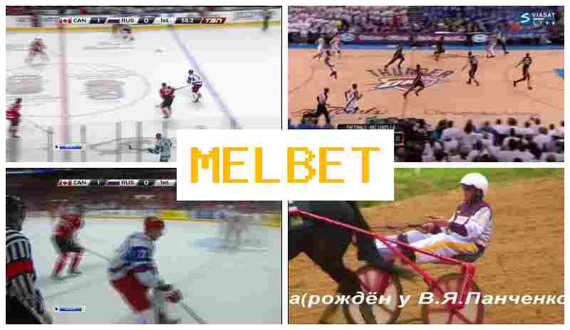 MEL VET ⚡ Official Bookmaker Platform, Place Sports Bets, Free Bets and Rewards MEL VET ⚡ Official Bookmaker Platform, Place Sports Bets, Free Bets and Rewards