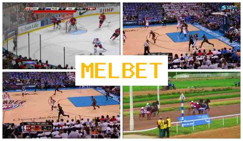 MSLBET 💰 Bookmaker Office, Introductory Bonus, Verified Site