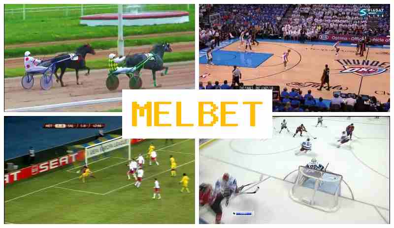 MEOBET 💯 Online Sports Wagering, Bonus on Registration MEOBET 💯 Online Sports Wagering, Bonus on Registration
