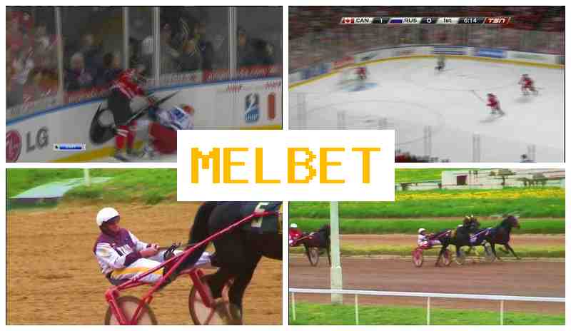M4L BET 🏆 Bookmaker Company, Online M4L BET 🏆 Bookmaker Company, Online