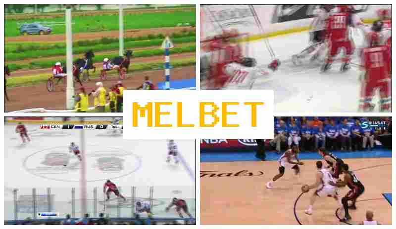 JELBET 🎾 Trusted Sportsbook, Register, Login