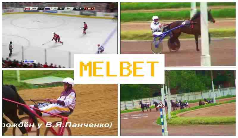 MEL BET 🌟 Verified Betting Company Site, Live Sports Wagering, Bonuses and Free Bets