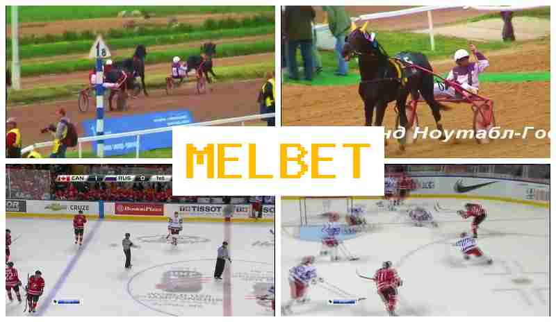 ELBET 🏆 Betting Site, Access Official Platform, Register, Bet on Sports