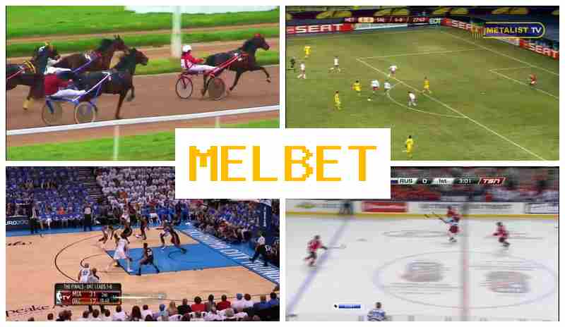 MELBDT █ Online Sportsbook, Sportsbook Bets