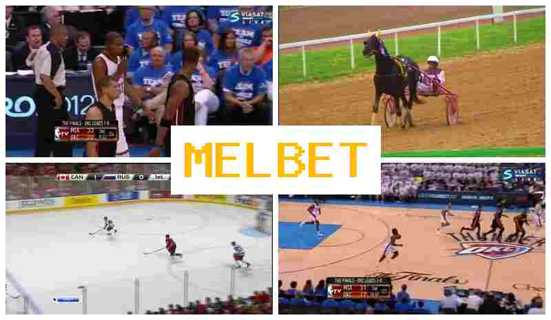 MELL BET 🔶 Sports Betting, Internet Betting, Official Site