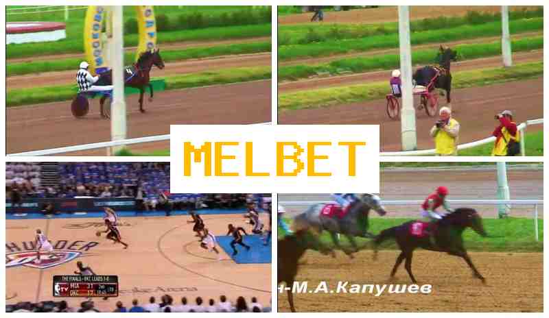 MELET 💷 Bookmaker Company