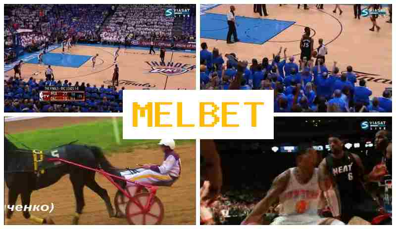 MSL BET 💵 Bet on Sports, Internet Betting, Special Offers and Rewards, Official Website MSL BET 💵 Bet on Sports, Internet Betting, Special Offers and Rewards, Official Website