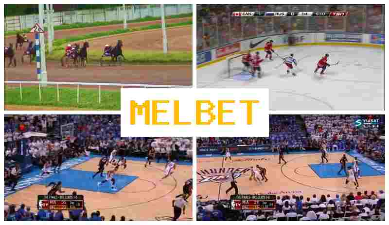 MEO BET 💶 Place Bets on Sports, Digital Sports Bets, Deposit Bonuses and Rewards, Official Bookmaker Site