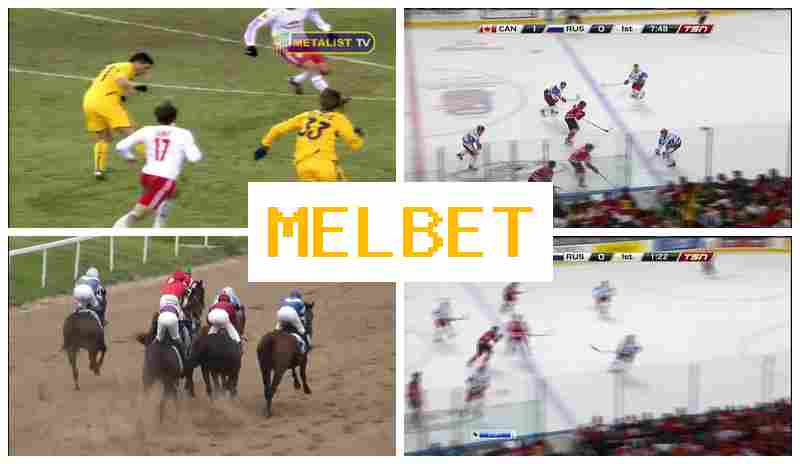 MEL BER 💸 Bookmaker Company, Online, Official Site
