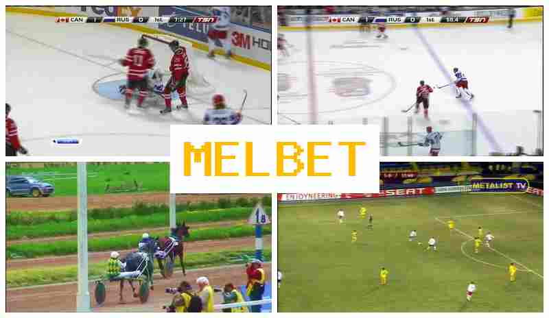 MEO BET ⚡ Online Sports Bets, Special Offers and Rewards MEO BET ⚡ Online Sports Bets, Special Offers and Rewards