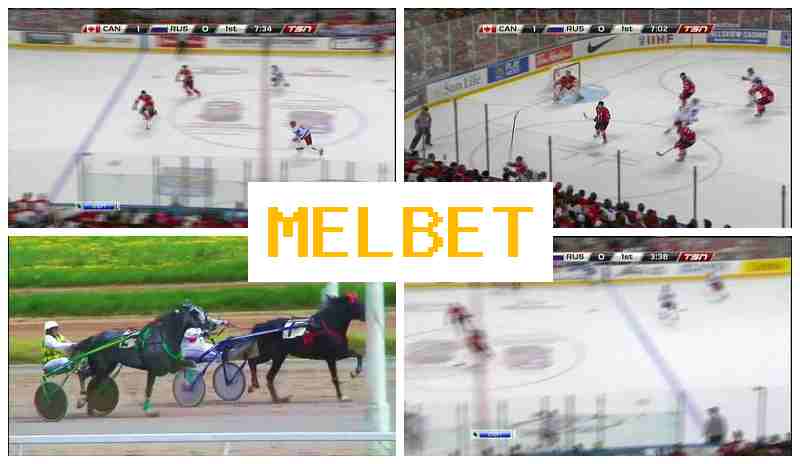 MMELBET ✔️ Wager on Sporting Events, Online, Bonuses and Free Bets, Verified Site