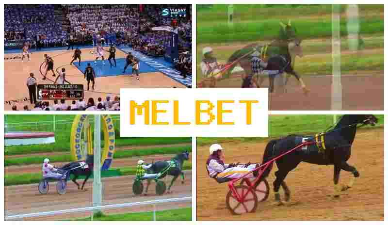 MEL BEF 💰 Betting Office, Online, Welcome Free Bet, Official Bookmaker Website