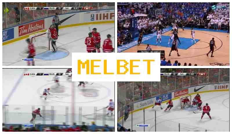 NELBET ☑️ Sportsbook Online, Enter Official Platform, Sign Up, Live Sports Betting