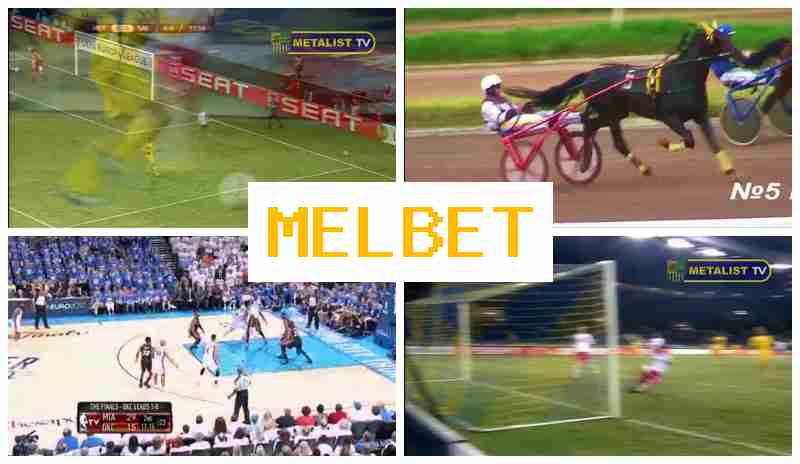 MWLBET 🎾 Betting Site Online, Login, Sign Up, Bet on Sports