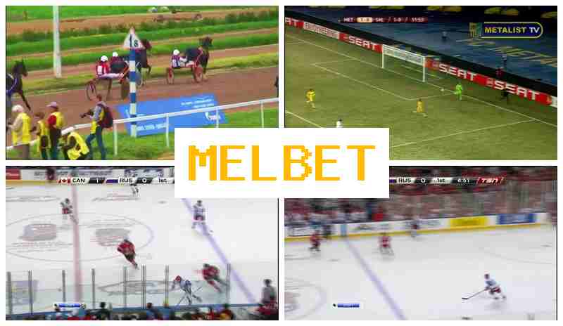 M4LBET 👍 Live Sports Betting, Free Bets and Bonuses, Official Bookmaker Platform