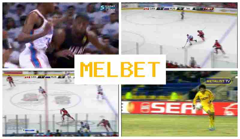 MSLBET 🔷 Betting Office, Online, Welcome Free Bet, Official Site