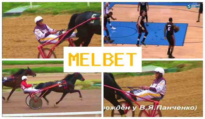 MEPBET 🌐 Online Sports Bets, Virtual, Bonuses and Free Bets, Official Website