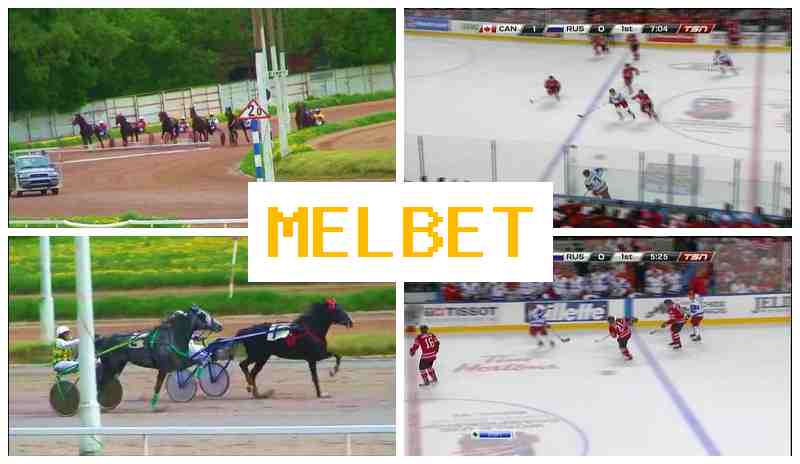MELNET ⚡ Sportsbook Company, Official Site, Promotions and Bonuses, Registration