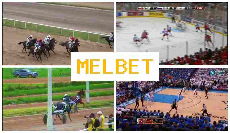 WWWMEL-BETCOM 🔹 Betting Firm