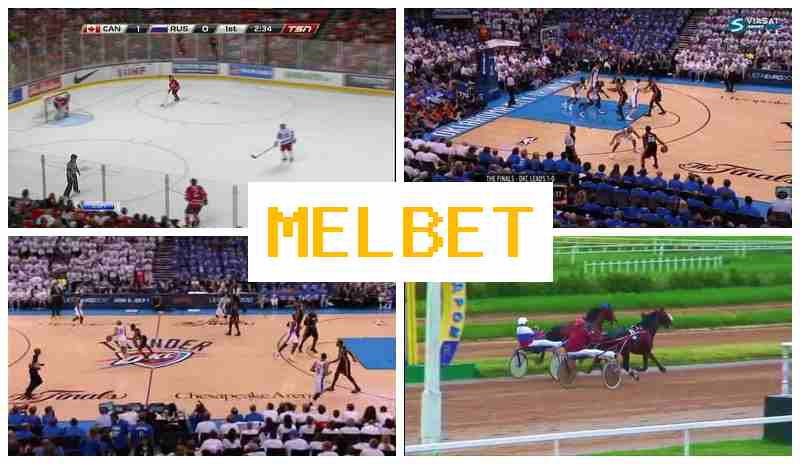 ML BET 🏀 Sports Betting, Official Website of the Betting Company