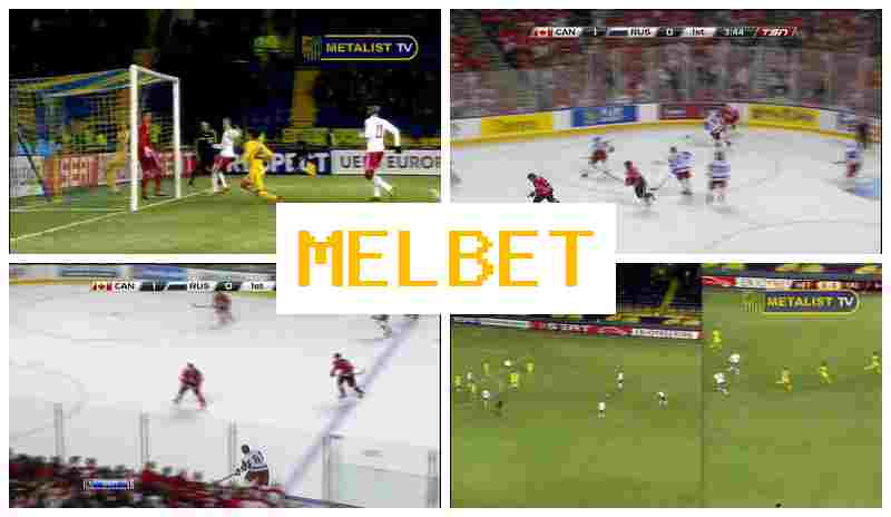 MEEL BET 🔹 Live Betting on Sports, Digital Sports Betting offering High Odds