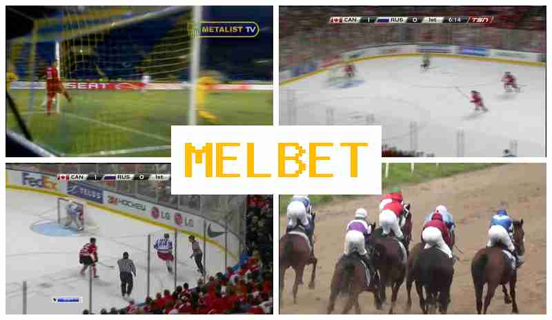 MELET 👍 Live Sports Betting, Free Bets and Bonuses, Official Site