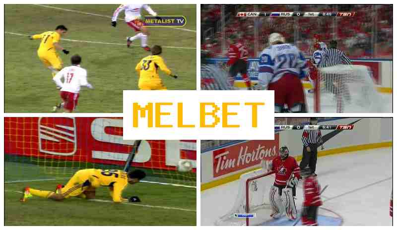 NEL BET ✔️ Bookmaker, Sign In, Create Account, Place Sports Bets
