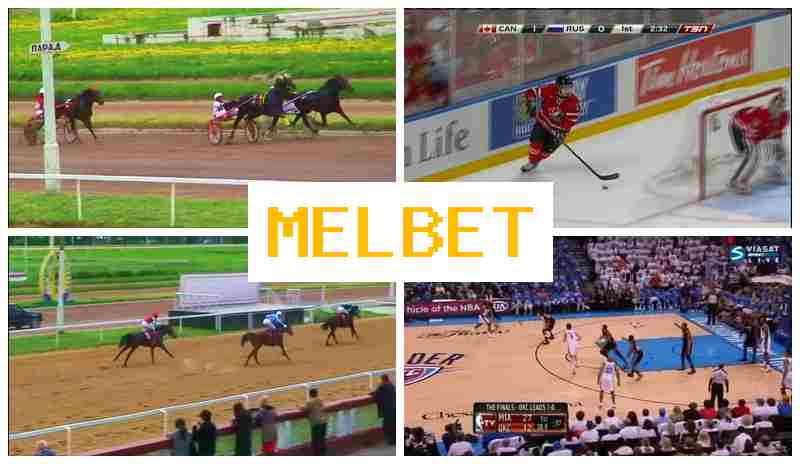 JEL BET 🏀 Bet on Sporting Events, Bonuses and Free Bets, Official Bookmaker Site