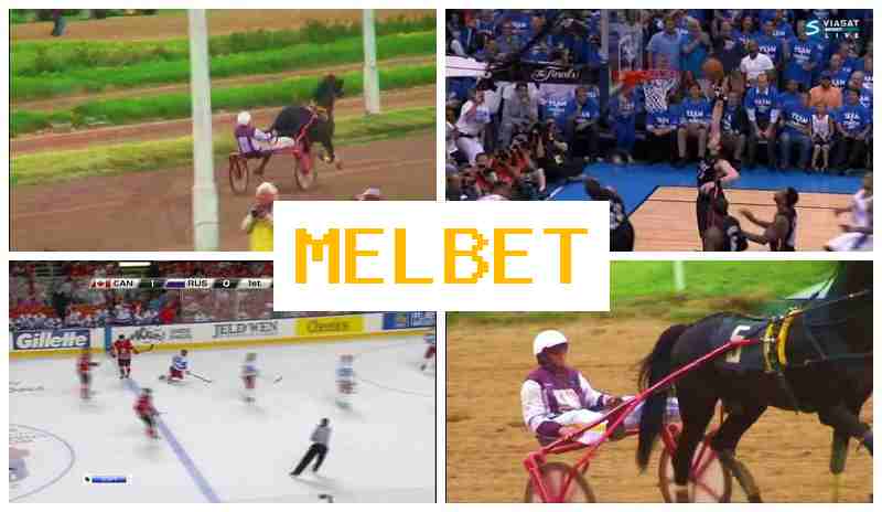 MSL BET 🔹 Bet on Sporting Events, Promotions and Bonuses, Official Bookmaker Site