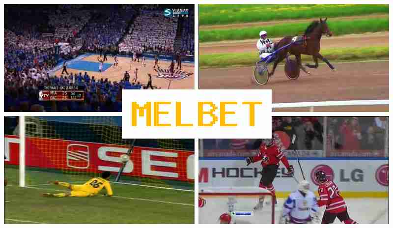 MEL BER 💯 Bookmaker Platform
