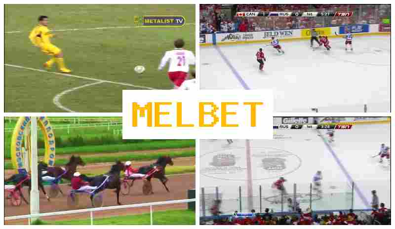 MELLBET 💷 Place Bets on Sports, Bonuses and Free Bets, Official Bookmaker Site