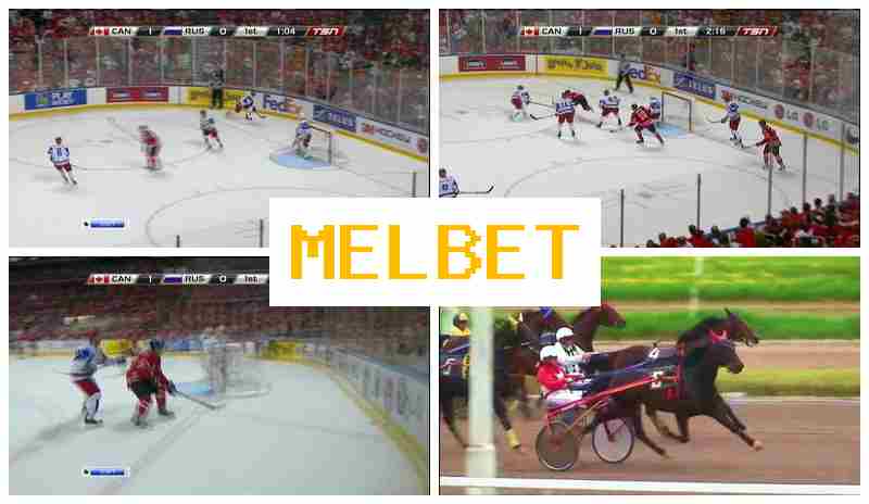 EMLBET ☑️ Bookmaker Platform EMLBET ☑️ Bookmaker Platform