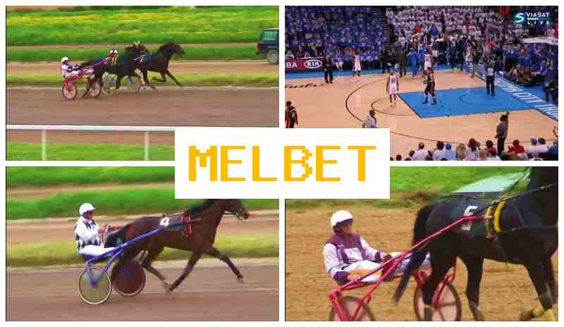 ,ELBET ☑️ Bookmaker Online, Access Official Platform, Create Account, Live Sports Betting ,ELBET ☑️ Bookmaker Online, Access Official Platform, Create Account, Live Sports Betting