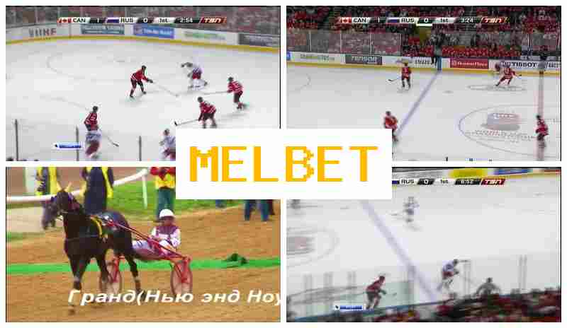 MSLBET 🏆 Betting Firm, Online, Deposit Bonus, Live Event Betting MSLBET 🏆 Betting Firm, Online, Deposit Bonus, Live Event Betting
