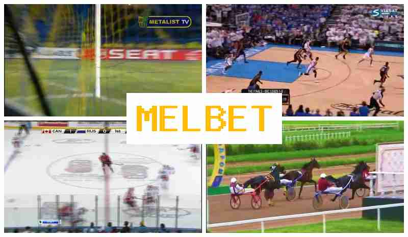 MELB3T 🔵 Bookmaker Platform, Online MELB3T 🔵 Bookmaker Platform, Online