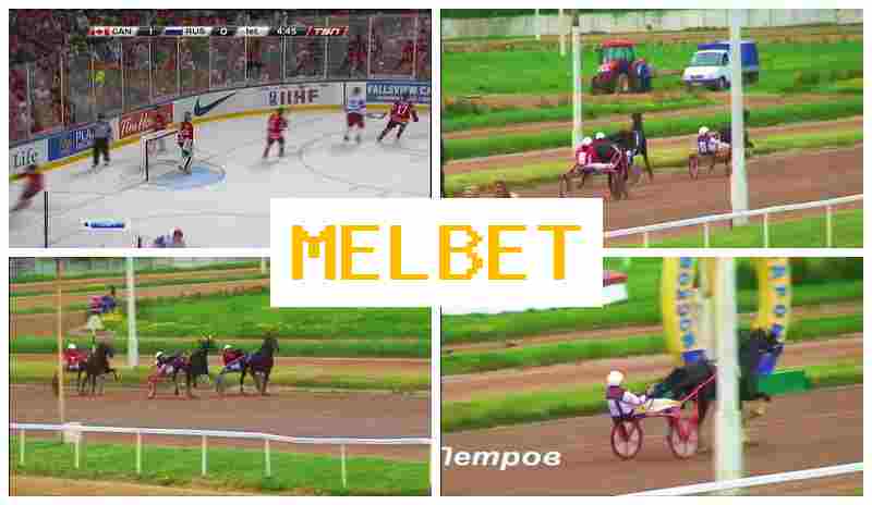 MEL BEF 💲 Betting Site, Access Official Platform, Create Account, Wager on Sporting Events