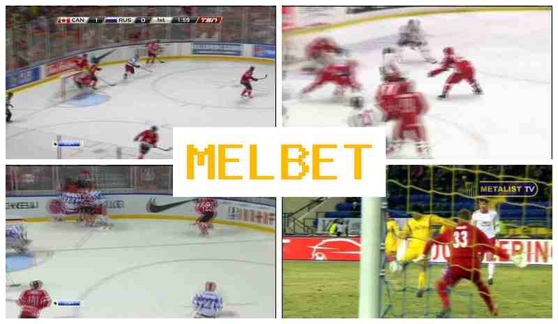 MELBTE 💴 Bookmaker Company, Live Sports Events