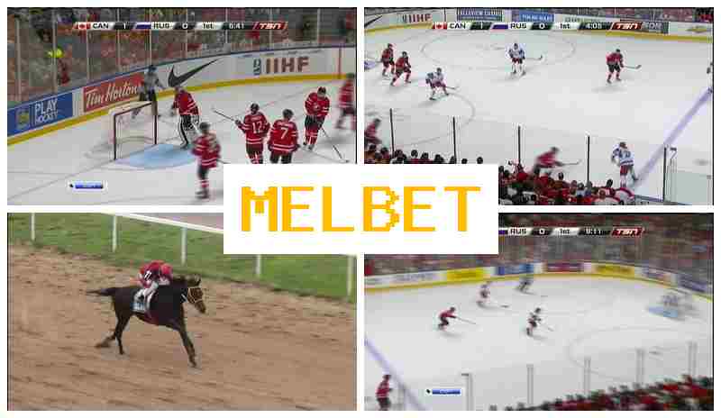 NELBET ✔️ Bet on Sports, Introductory Bonus