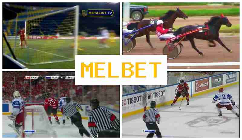 MWLBET 🔷 Sportsbook, Official Website