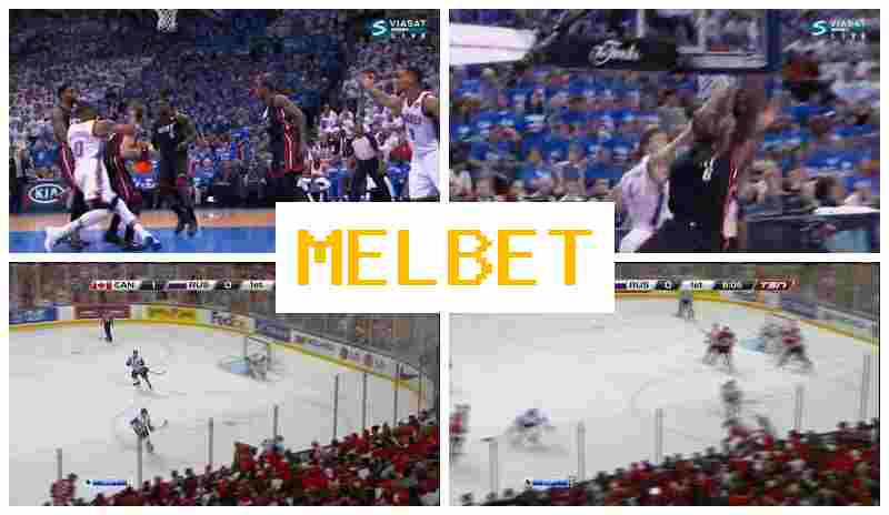M3LBET 🏀 Verified Sportsbook, Official Website, Sign Up