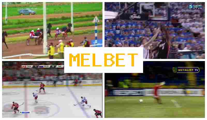 MRLBET 🔵 Top Betting Company Online, Sign Up, Sign In, Wager Online