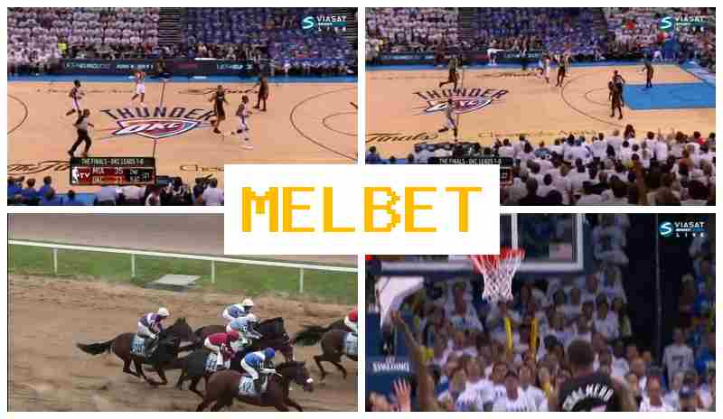 MELBE6 🔔 Bookmaker Platform, Online