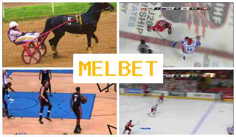 ML BET 🌟 Trusted Betting Company, Official Website, Free Bets and Bonuses, Sign Up
