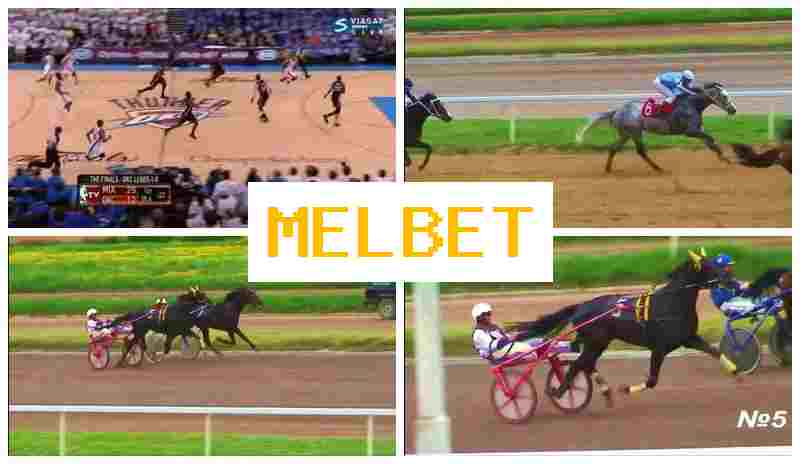 MEL BE 💸 Betting Company, Introductory Bonus